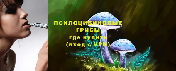 трава Богданович