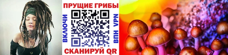 Галлюциногенные грибы ЛСД  Михайловск 